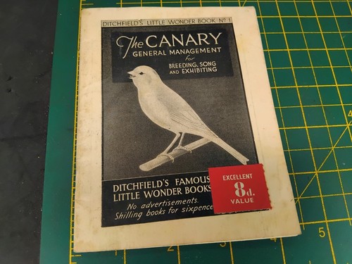 Vintage the canary breeding - vintage,