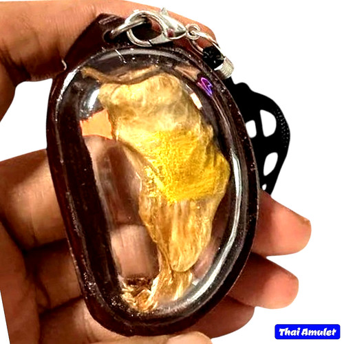 Thai magic cat - placenta, amulet