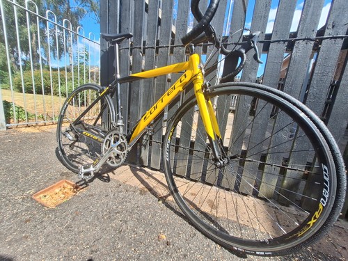 Carrera tdf ltd - carrera,