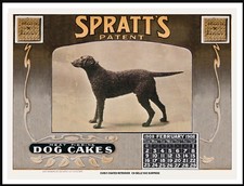 CURLY COATED RETRIEVER VINTAGE