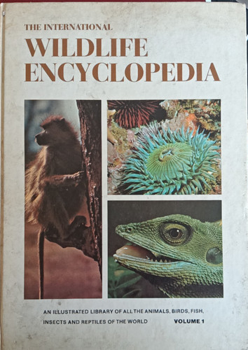 The international wildlife - international,