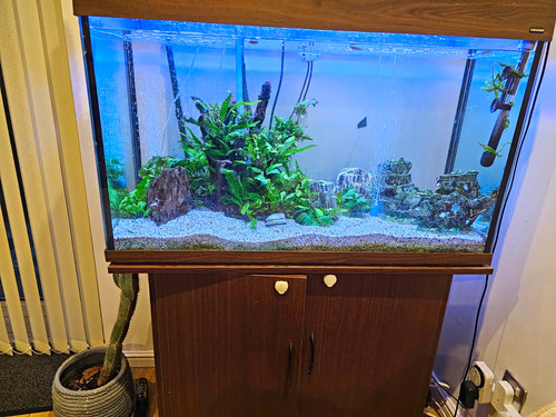 Glass fish tank stand - glass, w/