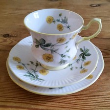 Queens Rosina Fine Bone China