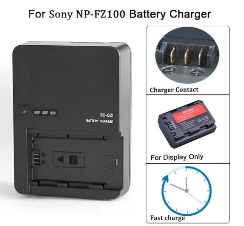 Qz1 charger for fz100 - bc-qz1,
