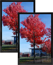 Medog 9X12Picture Frame Set of