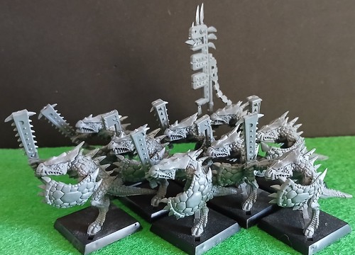 Warhammer aos seraphon - aos, 9