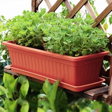 Outdoor Trough Planter Flower
