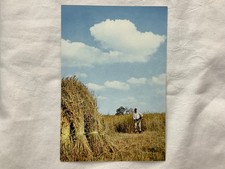 Reed Cutter, Norfolk Broads, vintage J. Arthur Dixon Ltd postcard