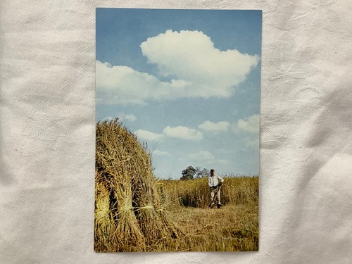 Reed cutter norfolk broads - norfolk,