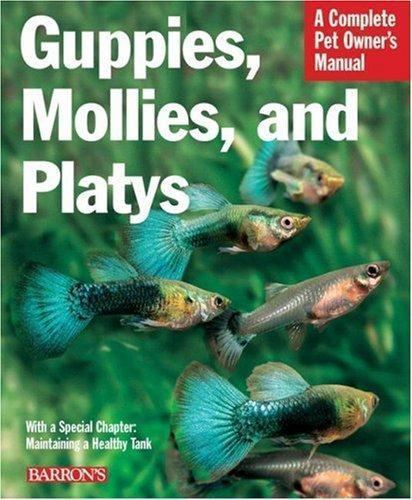 Guppies mollies and platys - guppies,,