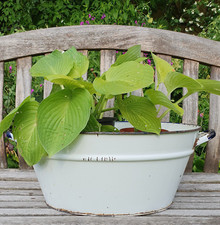 Vintage enamel wash tub/bath