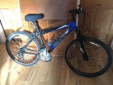 Giant Rock Aluxx 6000 Mountain