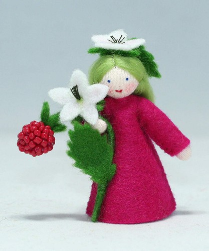 Ambrosius raspberry flower - raspberry,