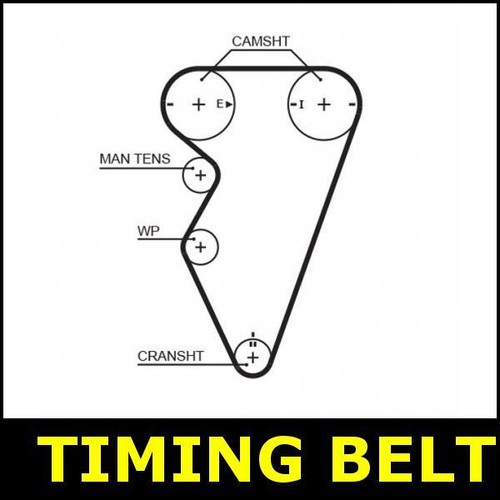 Timing belt cam - timing, mg