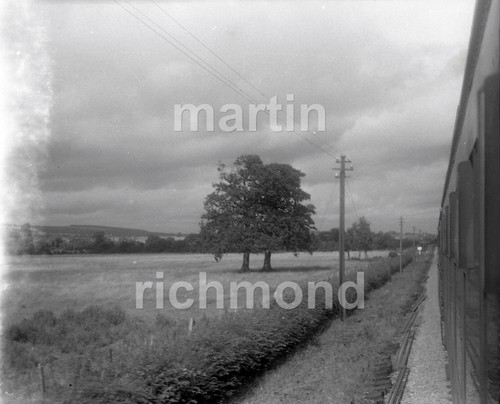 Dolyhir new radnor extension - dolyhir,