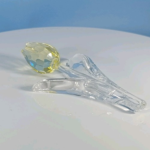 Swarovski 2004 renewal gift - 2004,