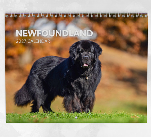 Newfoundland calendar 2027 - newfoundland,