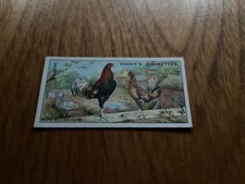 OGDENS - POULTRY- ( with Ogdens on the front)-No7 -OLD ENGLISH GAME- in VGC