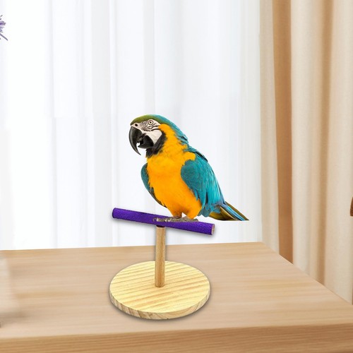Bird training perch stand - perch,