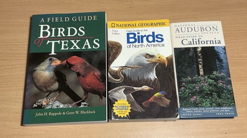 Birdwatching guides the - to,