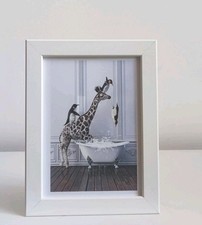 Funny giraffe & penguins