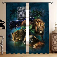 Wildlife Lions Animals