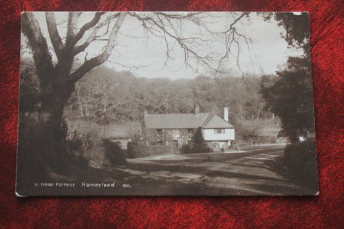 New forest homestead - a,