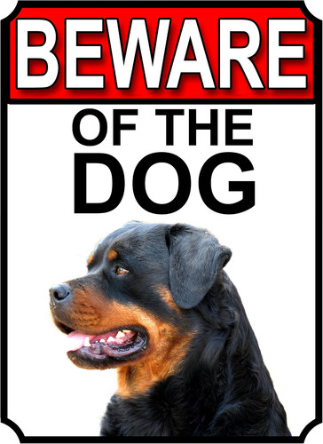 Beware the dog metal gate - metal,