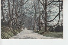 View of Bowhill Avenue