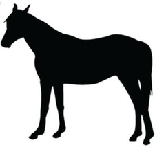 2 Horse Stickers, Lots of