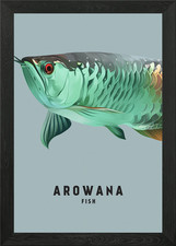 Arowana framed wall art - arowana, poster