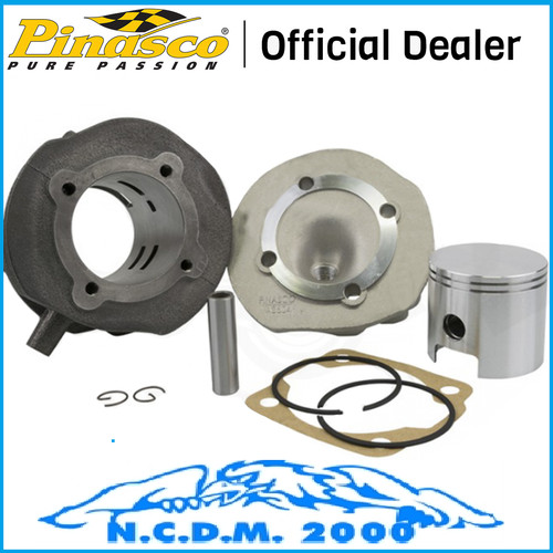 25010793 pinasco thermal group - 25010793,