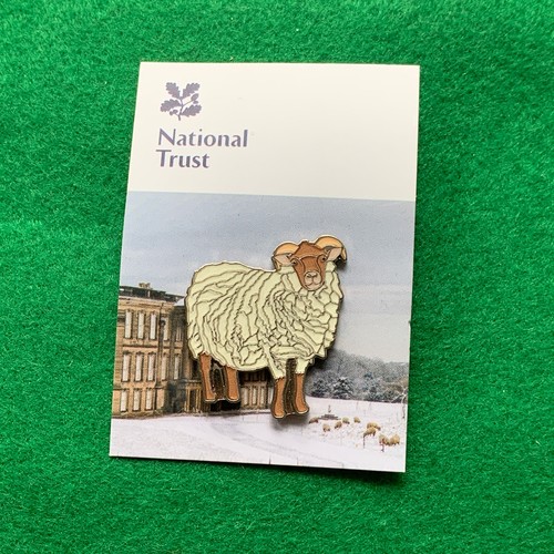 Calke abbey portland sheep - calke,