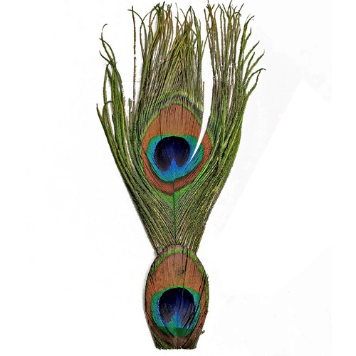 Afghan pakol pakistan gilgit - afghan,