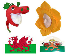 WELSH DAFFODIL HAT DRAGON HAT