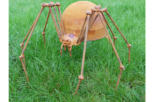 Huge 35cm spider garden - huge,