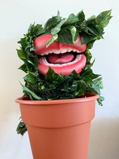 Axtell Expressions Man Eating