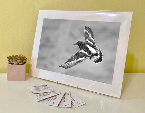 Art print image picture - image,