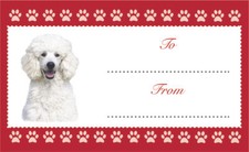 White Poodle Dog Christmas