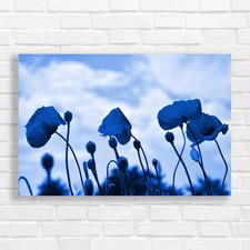 Red Poppy Floral Moody Sky