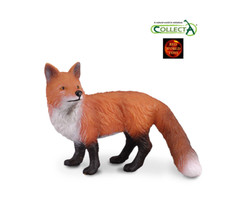 Red Fox British Countryside