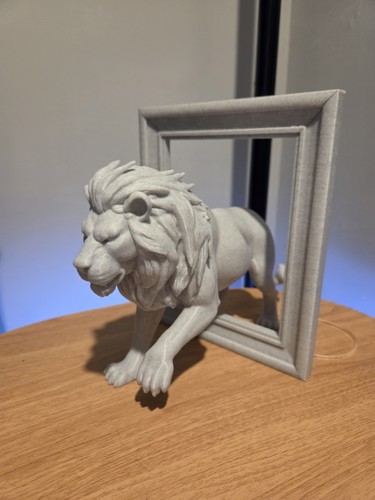 Lion frame illusuon - lion,