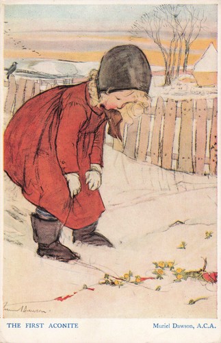 Muriel dawson postcard the - muriel,