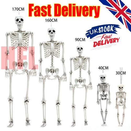 Full size halloween - full, skeleton