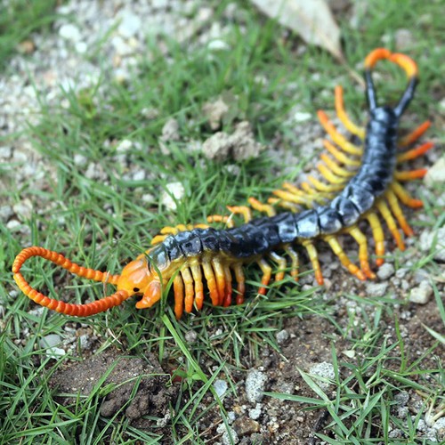 Fidget worm toy - worm,