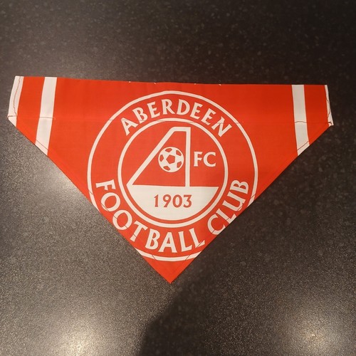 Large aberdeen football club - large,