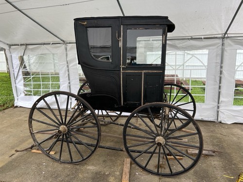 Horse drawn buggy - horse, -antique