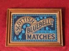 Vintage Scottish Bluebell