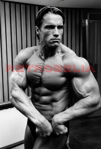 Arnold schwarzenegger - arnold,