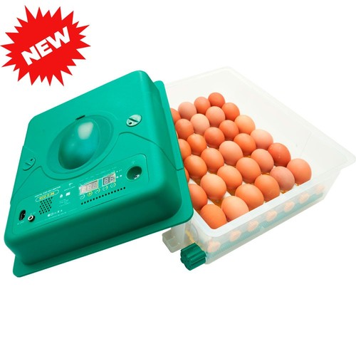 Egg incubator automatic - egg,